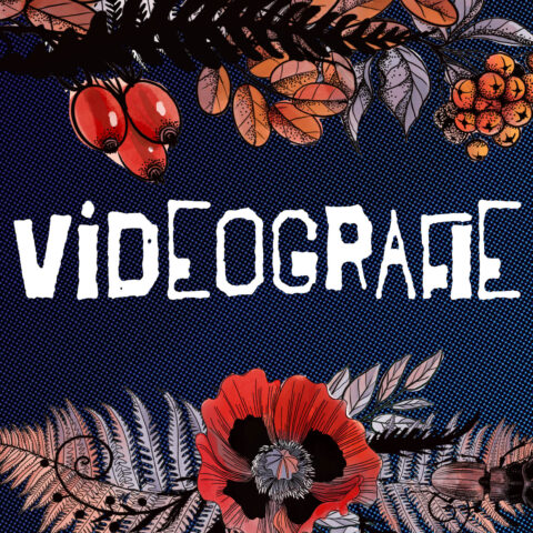 Alternative Videografie für Hochzeiten mit floralen, illustrierten Elementen in kräftigen Farben auf dunklem Hintergrund.