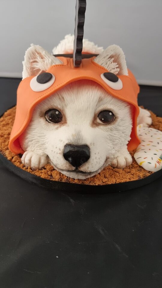 Täuschend echte Torte in Hundeform mit orangefarbener Mütze – liebevolle Cake Art für tierliebe Paare mit ausgefallenen Ideen.